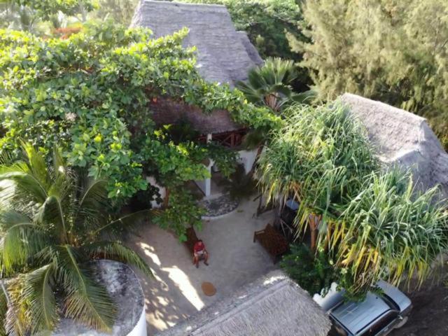 Wonderful Ocean * Jambiani (Zanzibar)